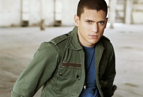 ,  , wentworth miller