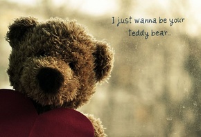 , , , , , , , , , teddy, bear