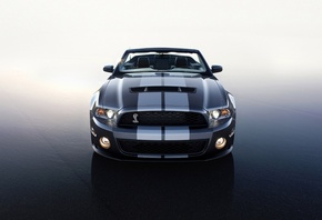 Ford, gt 500, 2010, shelby