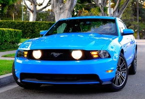 gt, Ford, mustang, 2010