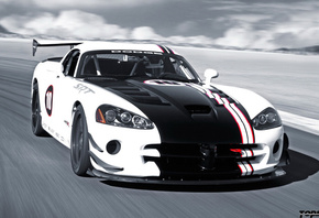 Viper, -