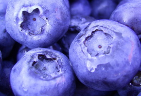 food, , , blueberry, , macro, berries, 1920x1080, 