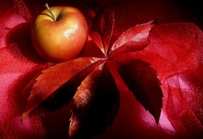 apple, , , , , , red