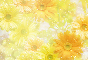 , , flowers, yellow, 