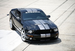 Mustang, gt500, , shelby, 