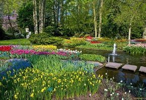 , Keukenhof Netherlands