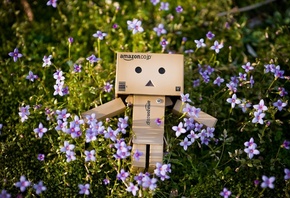 , , , , danbo