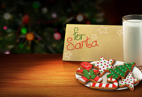 colorful, Beautiful, for santa, colors, christmas cookies, beauty, christmas, cool, christmas tree