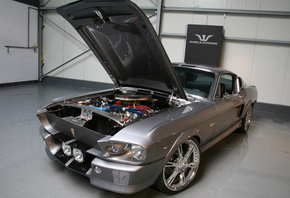 Mustang, , shelby gt500, , eleanor, 