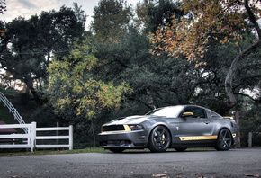,  , gt, Ford, silvery, , mustang, 