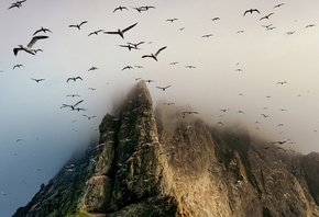 scotland, , , Boreray island, , st. kilda archipelago