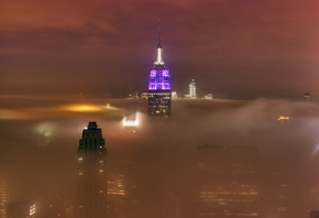 , , , ,  , 15  2012 , New york