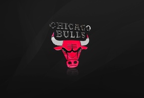 , , Chicago bulls, , nba, , 