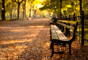 sunset, Central park, new york, autumn, , , -