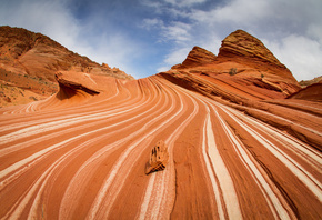 , , , Coyote buttes, , 