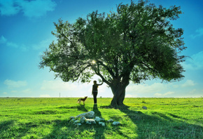 , landscape, Dog, teen, , clouds, nature, , tree, sky, girl, 