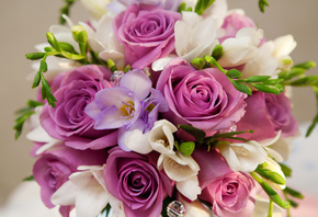, , , , bouquet, Violet flowers, roses