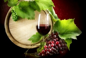 wine, , , , , , 