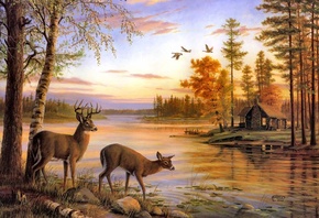 Quiet evening, painting, river, mary pettis, deer, birch, nature