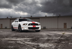 shelby, Ford, muscle car, ,  , mustang, , gt500, 