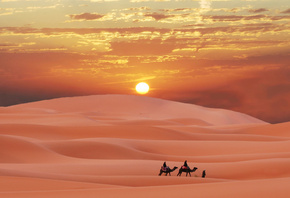 , , , , , , caravan in Sahara, desert, Morocco, berber