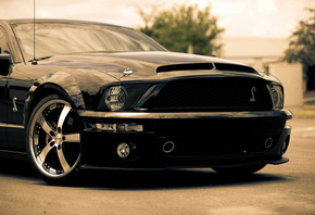 , , , muscle car, mustang, shelby, , gt500, black, Fo ...