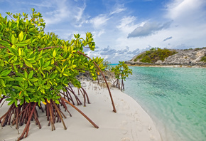 , Galloway, , bahamas, , mangrove, long island, beach