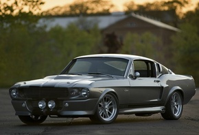 eleanor, gt 500, , Ford shelby