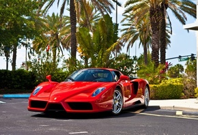 , Ferrari, enzo,  , , , red