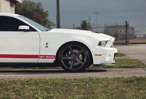 gt500, shelby, , , muscle car, ,  , mustang, Ford
