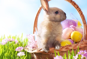 , , , , Easter, 