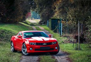, Chevrolet camaro, red,  , muscle car, , 