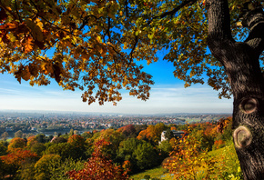 Dresden, , Deutschland, Germany, , , , , , , , , 