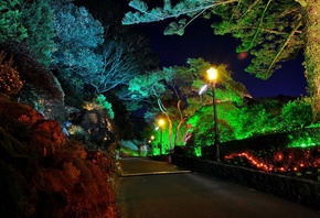 Wellington, Botanical Garden, , 