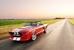, gt, , shelby, Classic recreations, convertible, mustang, 500cr, ford