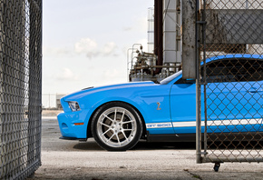 , , shelby, , blue, gt500, , Ford, mustang