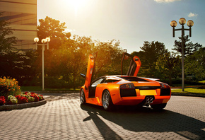 Lamborghini, murcielago, orange, , , 