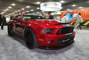 Ford, Shelbi, GT500, , , 