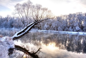 wonderland, nature landscape, cold season, branch, frozen forest, , Winter river