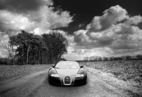 Bugatti Veyron, , , , , , , 