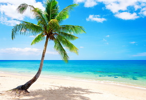 tropical, paradise, beach, coast, sea, blue, emerald, ocean, palm, summer,  ...