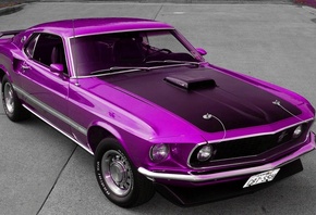 Ford, Mustang, Cobra, Ford Mustang, , , , , 