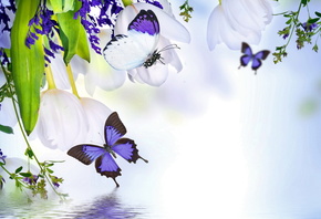spring, blossom, tulips, purple, flowers, butterflies, reflection, water,  ...