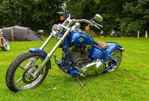 Harley Davidson, , 