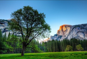 yosemite national park, , , , , 