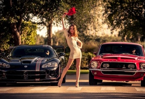 dodge, viper, 1968, ford, mustang, shelby, gt500