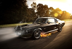 mustang, , ford, , , , 