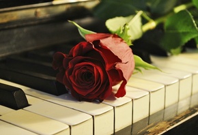 music, piano, , 