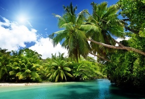 , , , , sea, blue, emerald, ocean, palms, summer, v ...