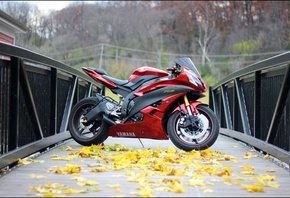 yamaha, yzf-r6, red, bridge, , , , , 